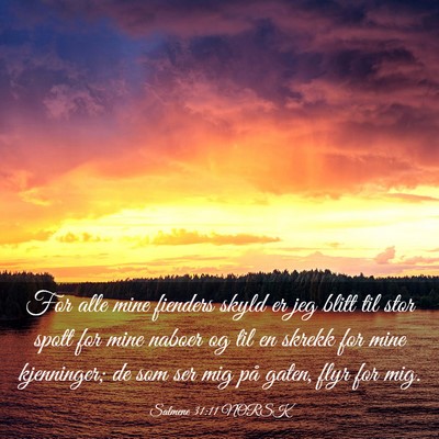 Picture 03 - Salmene 31:11 NORSK - For alle mine fienders skyld er jeg blitt til - Bible Verse Picture