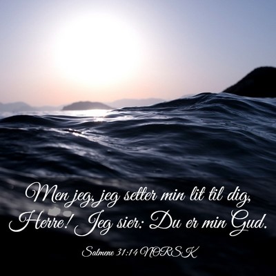 Picture 03 - Salmene 31:14 NORSK - Men jeg, jeg setter min lit til dig, Herre! Jeg - Bible Verse Picture