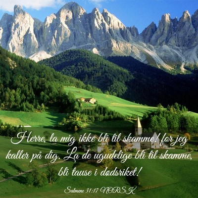 Picture 03 - Salmene 31:17 NORSK - Herre, la mig ikke bli til skamme! for jeg kaller - Bible Verse Picture