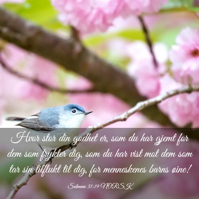 Picture 03 - Salmene 31:19 NORSK - Hvor stor din godhet er, som du har gjemt for dem - Bible Verse Picture