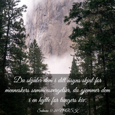 Picture 03 - Salmene 31:20 NORSK - Du skjuler dem i ditt åsyns skjul for menneskers - Bible Verse Picture