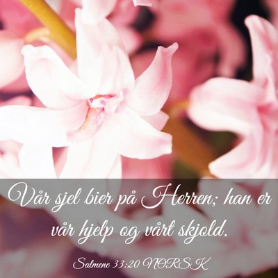 Picture 03 - Salmene 33:20 NORSK - Vår sjel bier på Herren; han er vår hjelp og - Bible Verse Picture
