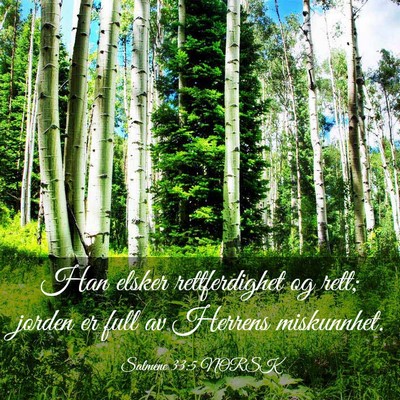 Picture 03 - Salmene 33:5 NORSK - Han elsker rettferdighet og rett; jorden er full - Bible Verse Picture
