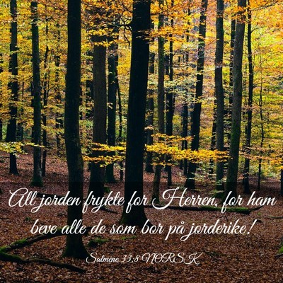 Picture 03 - Salmene 33:8 NORSK - All jorden frykte for Herren, for ham beve alle - Bible Verse Picture