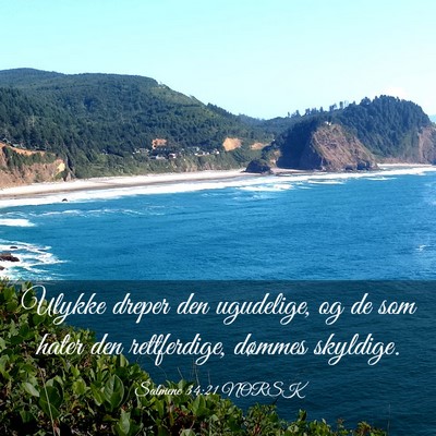 Picture 03 - Salmene 34:21 NORSK - Ulykke dreper den ugudelige, og de som hater den - Bible Verse Picture