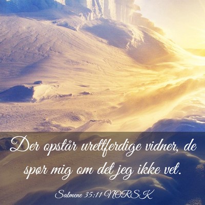 Picture 03 - Salmene 35:11 NORSK - Der opstår urettferdige vidner, de spør mig om - Bible Verse Picture