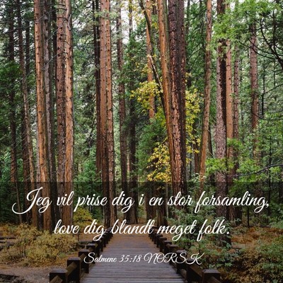 Picture 03 - Salmene 35:18 NORSK - Jeg vil prise dig i en stor forsamling, love dig - Bible Verse Picture