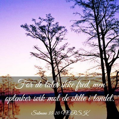 Picture 03 - Salmene 35:20 NORSK - For de taler ikke fred, men optenker svik mot de - Bible Verse Picture