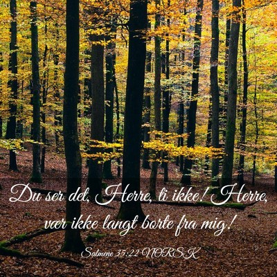 Picture 03 - Salmene 35:22 NORSK - Du ser det, Herre, ti ikke! Herre, vær ikke - Bible Verse Picture