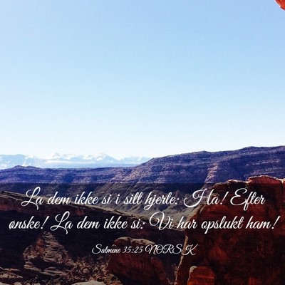 Picture 03 - Salmene 35:25 NORSK - La dem ikke si i sitt hjerte: Ha! Efter ønske! - Bible Verse Picture