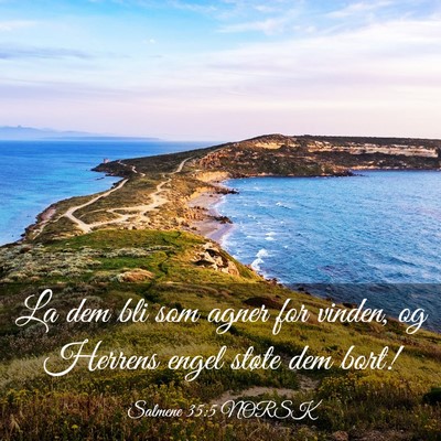 Picture 03 - Salmene 35:5 NORSK - La dem bli som agner for vinden, og Herrens engel - Bible Verse Picture