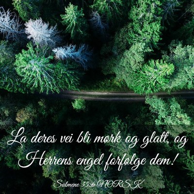 Picture 03 - Salmene 35:6 NORSK - La deres vei bli mørk og glatt, og Herrens engel - Bible Verse Picture