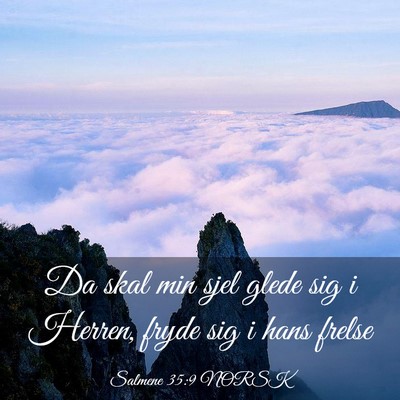 Picture 03 - Salmene 35:9 NORSK - Da skal min sjel glede sig i Herren, fryde sig i - Bible Verse Picture