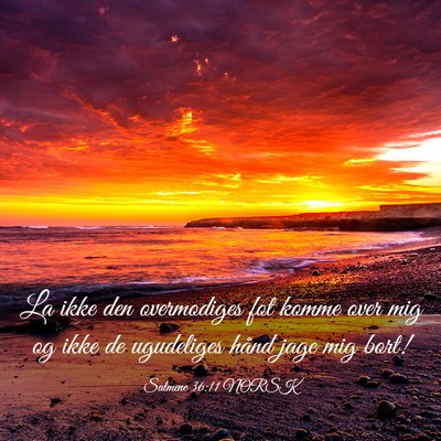 Picture 03 - Salmene 36:11 NORSK - La ikke den overmodiges fot komme over mig og - Bible Verse Picture