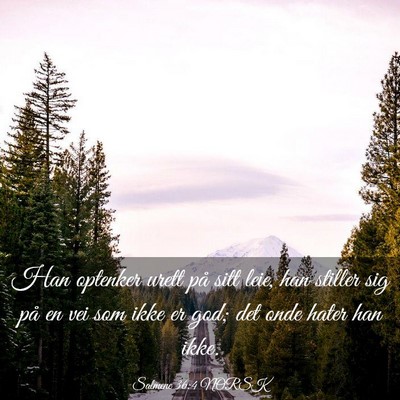 Picture 03 - Salmene 36:4 NORSK - Han optenker urett på sitt leie, han stiller sig - Bible Verse Picture