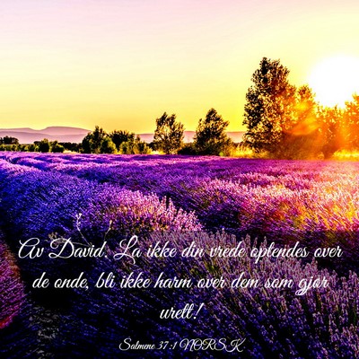 Picture 03 - Salmene 37:1 NORSK - Av David. La ikke din vrede optendes over de - Bible Verse Picture