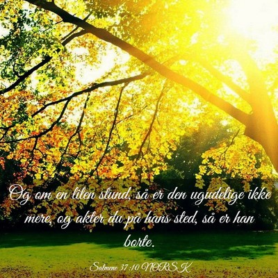 Picture 03 - Salmene 37:10 NORSK - Og om en liten stund, så er den ugudelige ikke - Bible Verse Picture