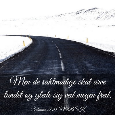 Picture 03 - Salmene 37:11 NORSK - Men de saktmodige skal arve landet og glede sig - Bible Verse Picture