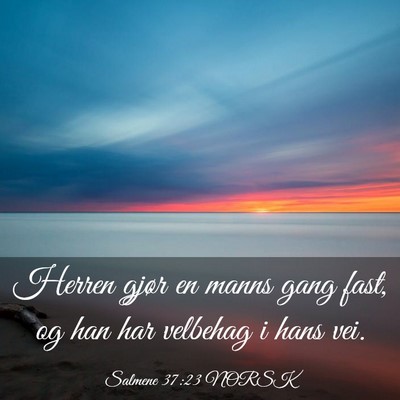Picture 03 - Salmene 37:23 NORSK - Herren gjør en manns gang fast, og han har - Bible Verse Picture