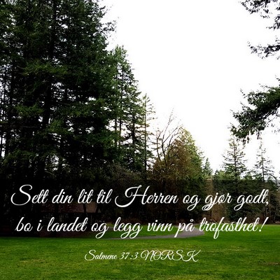 Picture 03 - Salmene 37:3 NORSK - Sett din lit til Herren og gjør godt, bo i - Bible Verse Picture