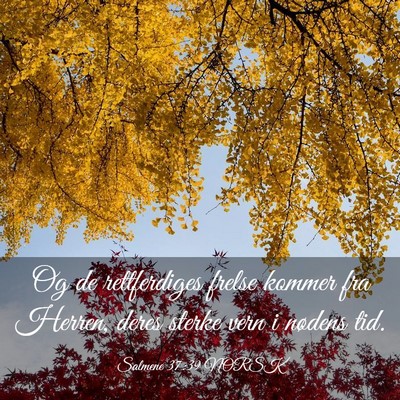 Picture 03 - Salmene 37:39 NORSK - Og de rettferdiges frelse kommer fra Herren, - Bible Verse Picture