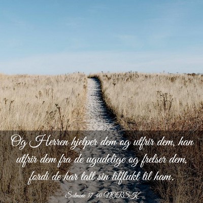 Picture 03 - Salmene 37:40 NORSK - Og Herren hjelper dem og utfrir dem, han utfrir - Bible Verse Picture