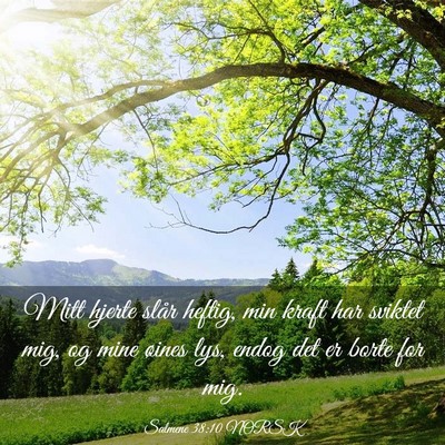 Picture 03 - Salmene 38:10 NORSK - Mitt hjerte slår heftig, min kraft har sviktet - Bible Verse Picture