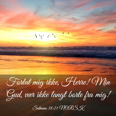 Picture 03 - Salmene 38:21 NORSK - Forlat mig ikke, Herre! Min Gud, vær ikke langt - Bible Verse Picture