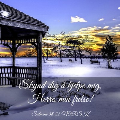 Picture 03 - Salmene 38:22 NORSK - Skynd dig å hjelpe mig, Herre, min - Bible Verse Picture