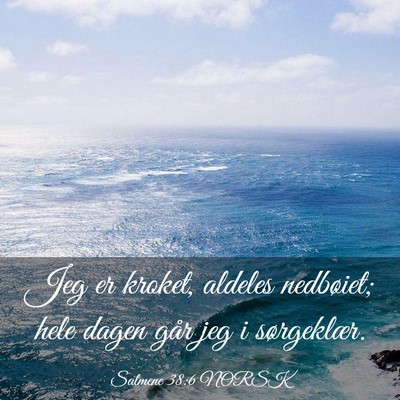 Picture 03 - Salmene 38:6 NORSK - Jeg er kroket, aldeles nedbøiet; hele dagen går - Bible Verse Picture