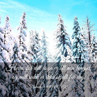 Picture 03 - Salmene 38:9 NORSK - Herre, for ditt åsyn er all min lengsel, og mitt - Bible Verse Picture