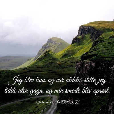 Picture 03 - Salmene 39:2 NORSK - Jeg blev taus og var aldeles stille, jeg tidde - Bible Verse Picture