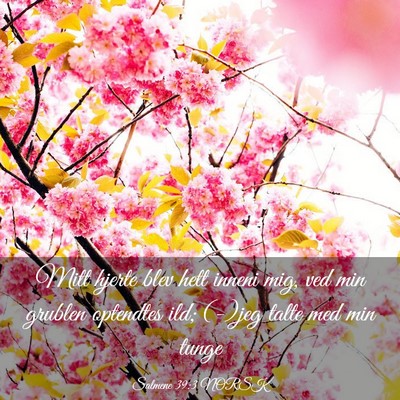 Picture 03 - Salmene 39:3 NORSK - Mitt hjerte blev hett inneni mig, ved min grublen - Bible Verse Picture
