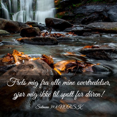 Picture 03 - Salmene 39:8 NORSK - Frels mig fra alle mine overtredelser, gjør mig - Bible Verse Picture