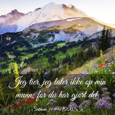 Picture 03 - Salmene 39:9 NORSK - Jeg tier, jeg later ikke op min munn; for du har - Bible Verse Picture