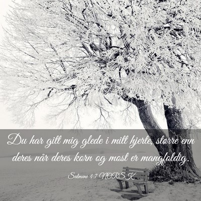 Picture 03 - Salmene 4:7 NORSK - Du har gitt mig glede i mitt hjerte, større enn - Bible Verse Picture