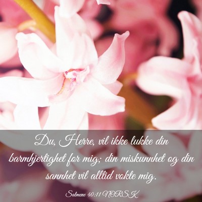 Picture 03 - Salmene 40:11 NORSK - Du, Herre, vil ikke lukke din barmhjertighet for - Bible Verse Picture