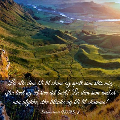Picture 03 - Salmene 40:14 NORSK - La alle dem bli til skam og spott som står mig - Bible Verse Picture