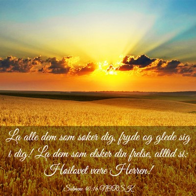 Picture 03 - Salmene 40:16 NORSK - La alle dem som søker dig, fryde og glede sig i - Bible Verse Picture