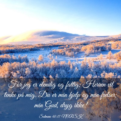 Picture 03 - Salmene 40:17 NORSK - For jeg er elendig og fattig; Herren vil tenke - Bible Verse Picture