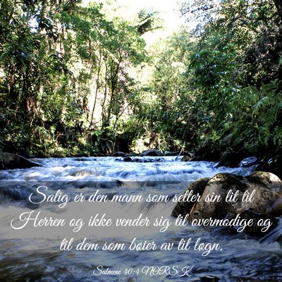 Picture 03 - Salmene 40:4 NORSK - Salig er den mann som setter sin lit til Herren - Bible Verse Picture