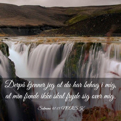 Picture 03 - Salmene 41:11 NORSK - Derpå kjenner jeg at du har behag i mig, at min - Bible Verse Picture