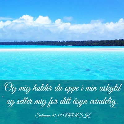 Picture 03 - Salmene 41:12 NORSK - Og mig holder du oppe i min uskyld og setter mig - Bible Verse Picture