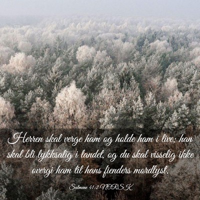 Picture 03 - Salmene 41:2 NORSK - Herren skal verge ham og holde ham i live; han - Bible Verse Picture