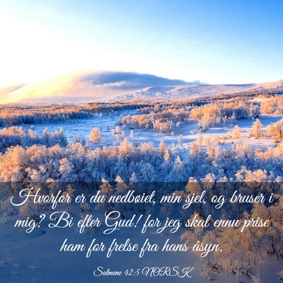 Picture 03 - Salmene 42:5 NORSK - Hvorfor er du nedbøiet, min sjel, og bruser i - Bible Verse Picture