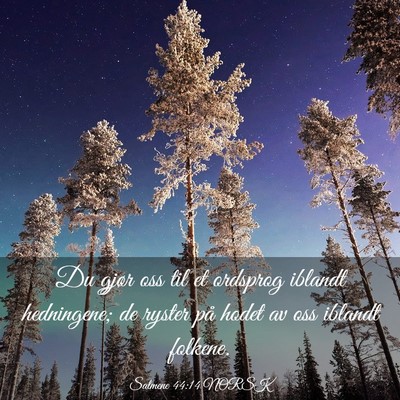 Picture 03 - Salmene 44:14 NORSK - Du gjør oss til et ordsprog iblandt hedningene; - Bible Verse Picture