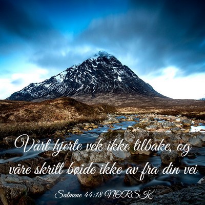 Picture 03 - Salmene 44:18 NORSK - Vårt hjerte vek ikke tilbake, og våre skritt - Bible Verse Picture