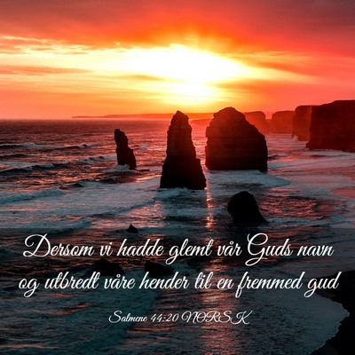 Picture 03 - Salmene 44:20 NORSK - Dersom vi hadde glemt vår Guds navn og utbredt - Bible Verse Picture
