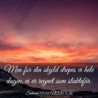 Picture 03 - Salmene 44:22 NORSK - Men for din skyld drepes vi hele dagen, vi er - Bible Verse Picture