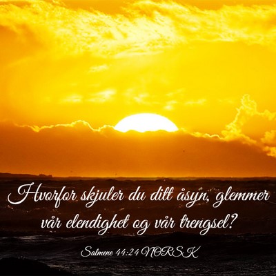 Picture 03 - Salmene 44:24 NORSK - Hvorfor skjuler du ditt åsyn, glemmer vår - Bible Verse Picture